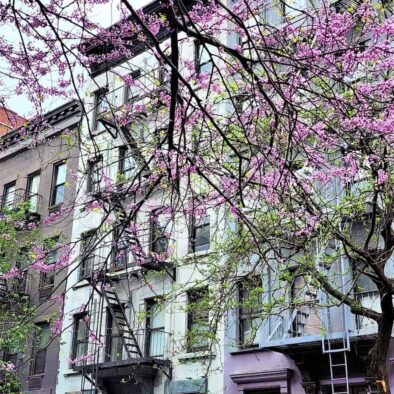 Chelsea brownstones, por New York a tus pies