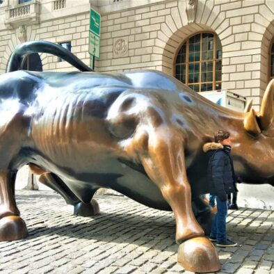 Toro de Wall St., Bajo Manhattan, por NY a tus pies